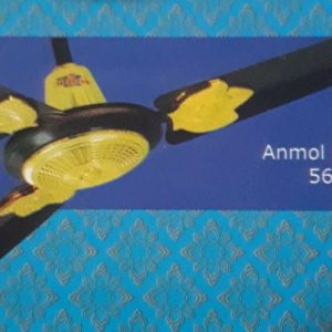 Anmol Model